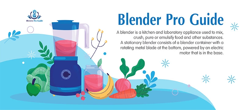 About Blender Pro Guide