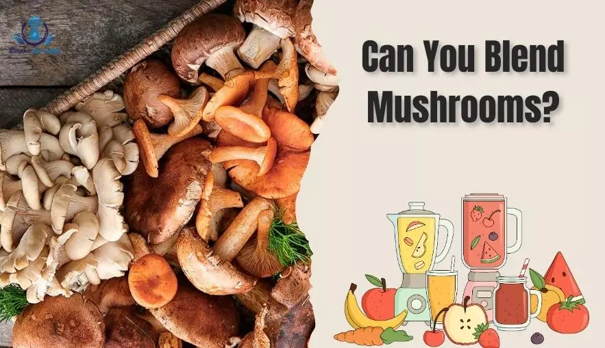 Can You Blend Mushrooms