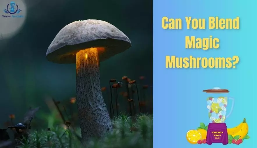 Can You Blend Magic Mushrooms?
